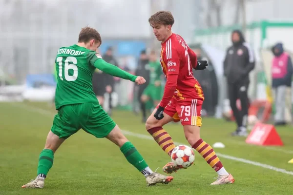 Chojniczanka Chojnice – Stal Stalowa Wola Tips, Odds 18/04