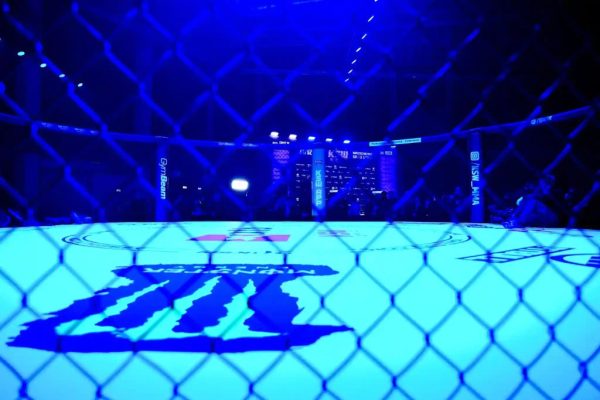 Who won the fight Wiktoria Czyżewska vs. Sara Luzar Smajić during KSW 118?